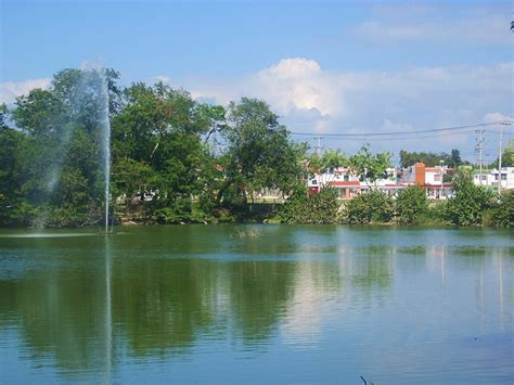 Parque Ecológico de Langfang: Um Refúgio Verde para a Alma Aventureira!