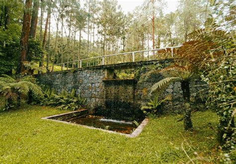 Parque Florestal de Songhua - Uma joia verdejante com trilhas desafiadoras para os aventureiros!